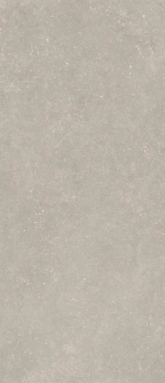 FOSSIL GREY
