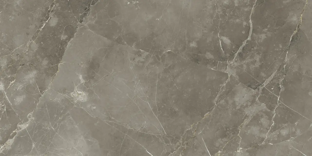 Стелларис Тусканиа Грэй 60X120 Рет