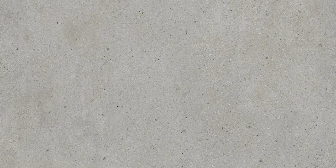 Авангард Сильвер 60X120 Рет