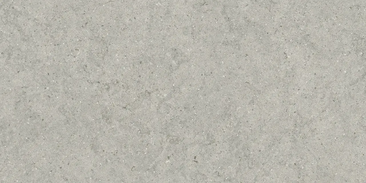 Форум Стоун Сильвер 60X120