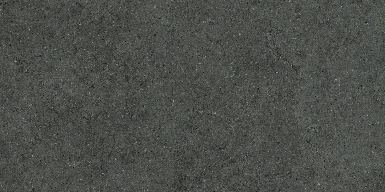 Форум Стоун Петрол 60X120