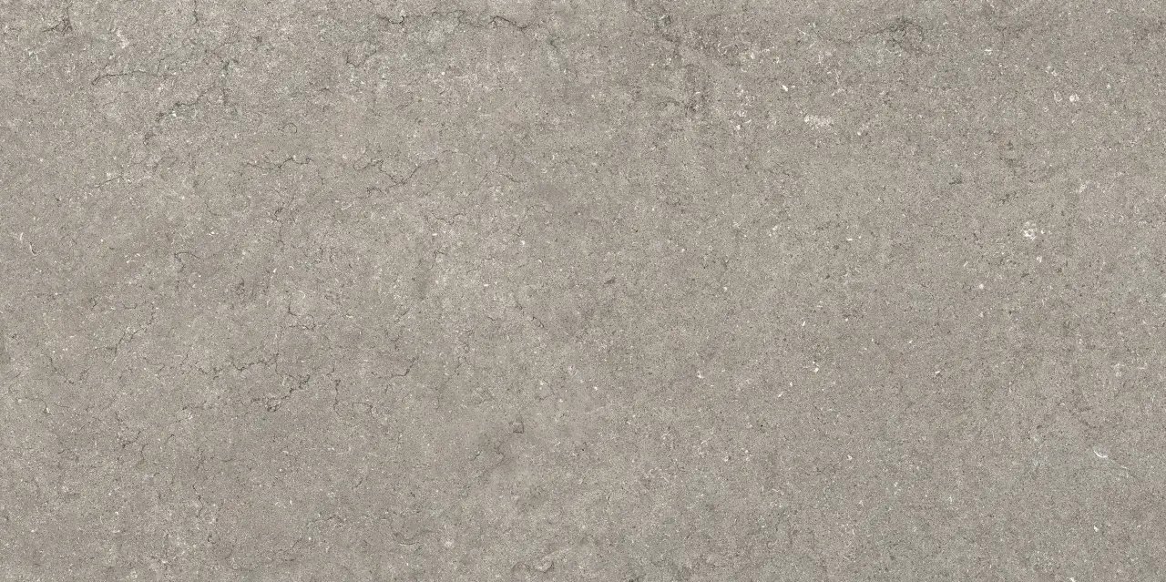 Дискавер Грэй 60X120 Рет