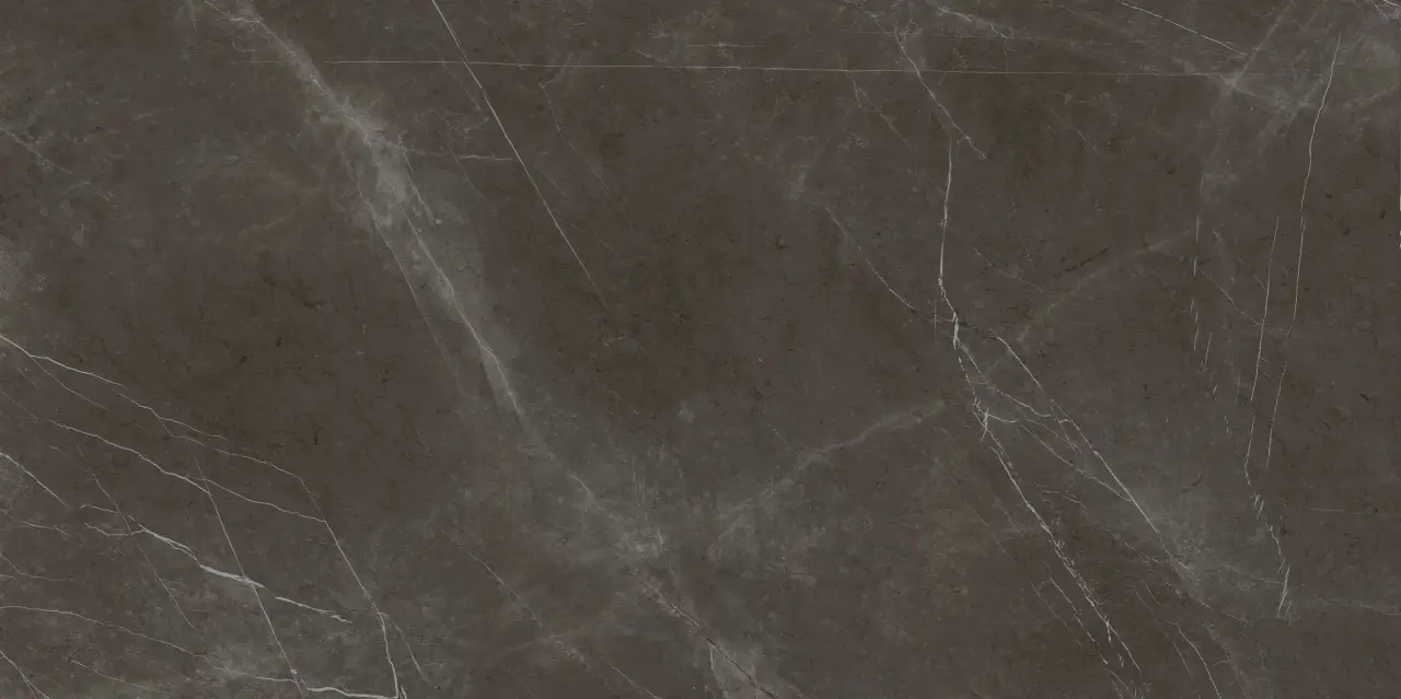 Marmi Pietra Grey luc