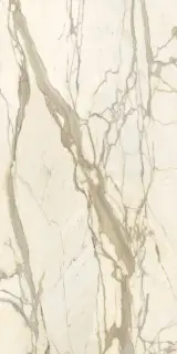 Marmi Calacatta Elite luc
