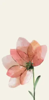 WANDERWALL FLEUR D