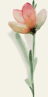WANDERWALL FLEUR A