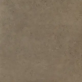 Нова Браун