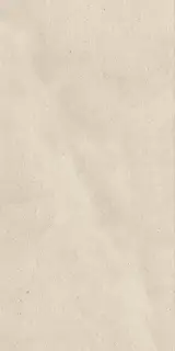 Эверстоун Мун 60X120 Рет