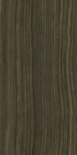 Серфейс Эрамоза 60X120 Lux
