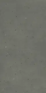 Авангард Блэк 60X120 Рет