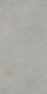 Авангард Сильвер 60X120 Рет