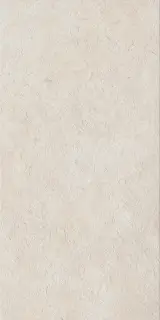 Фоссил Пьюр 60X120 Рет Х2