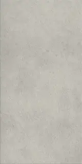 Фоссил Грэй 60X120 Рет Х2