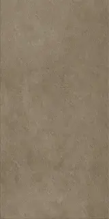 Фоссил Дезерт 60X120 Рет Х2