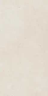 Фоссил Пьюр 60X120 Рет