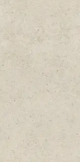 Форум Стоун Пьюр 60X120