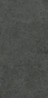 Форум Стоун Петрол 60X120