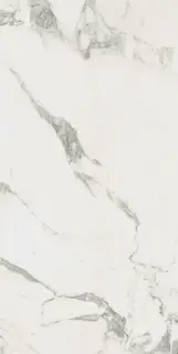 Микеланджело Колд 60X120 Рет