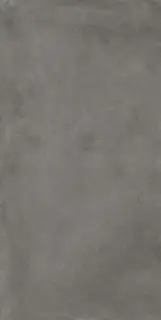 Сан-Сиро Дарк 60X120 Рет