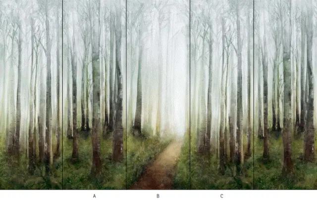 WANDERWALL DREAM A, B, C,