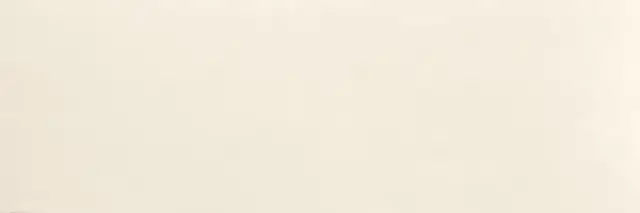 BIANCO DENSO PLUS PG7EX05