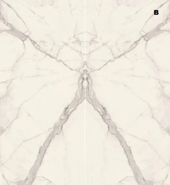 STATUARIO BOOKMATCH B LUX PZ6ENB2
