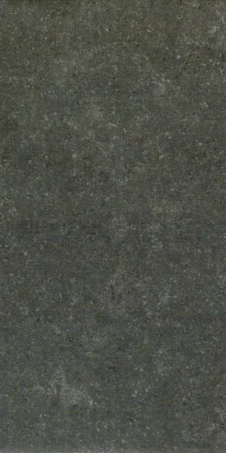 Аурис Блэк 30X60 Рет
