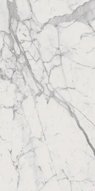 Шарм Эво Статуарио 60X120 Люкс