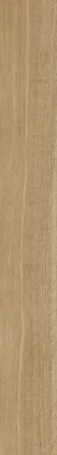 Этернум Роверэ 20X160 Рет