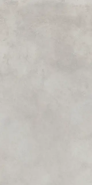 Миллениум сильвер 60X120 Рет Х2