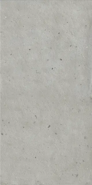 Авангард Сильвер 60X120 Рет Х2