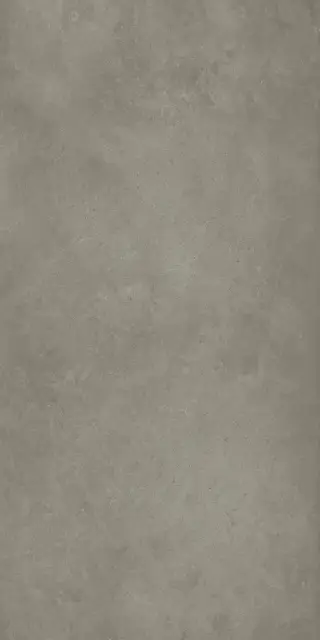 Фоссил Блэк 60X120 Рет