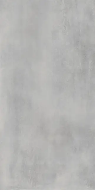 Астро Сильвер 60X120 Рет
