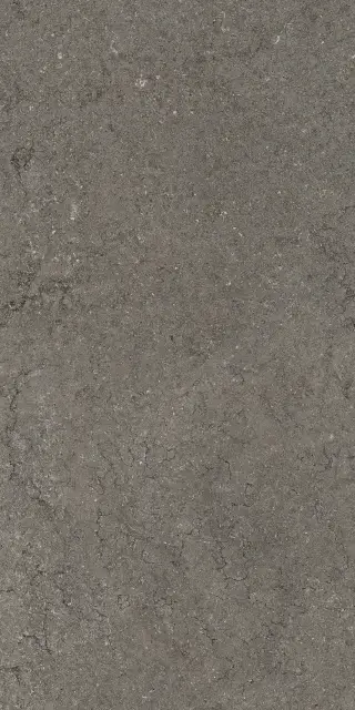 Дискавер Фумэ 60X120 Рет