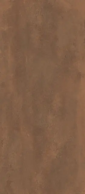 Статус Кортен 120X278